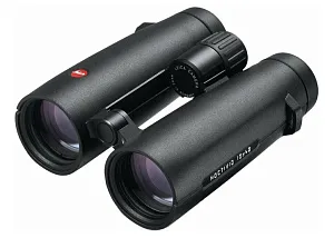 Бинокль Leica Noctivid 10x42, черный, изображение 1