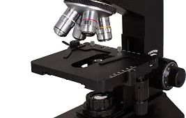Мошка под микроскопом: челюсти и строение тела