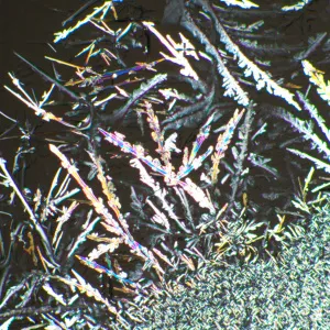 Устройство простой поляризации MAGUS SPD2, изображение 4