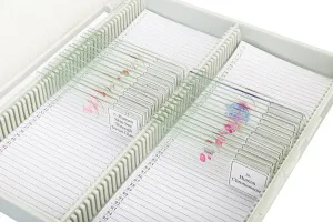 Набор микропрепаратов Bresser «Гистология», 30 шт., в кейсе, изображение 3