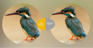 Зрительная труба SVBONY SV408 20–60x80 WP, изображение 11