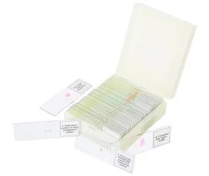 Набор микропрепаратов Levenhuk Discovery Prof DPS 25. «Биология, Птицы и др.», изображение 5