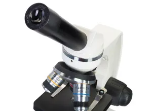 Микроскоп Levenhuk Discovery Femto Polar с книгой, изображение 9