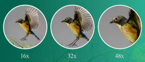 Зрительная труба SVBONY SV406P 16–48x65 ED WP, изображение 12