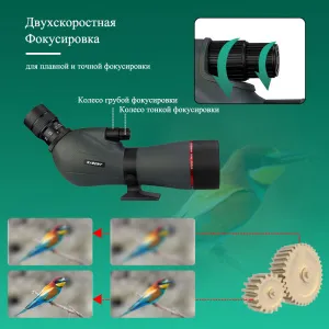 Зрительная труба SVBONY SV406P 16–48x65 ED WP, изображение 11