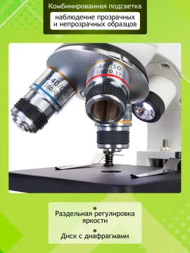 Микроскоп Levenhuk Discovery Femto Polar с книгой, изображение 18