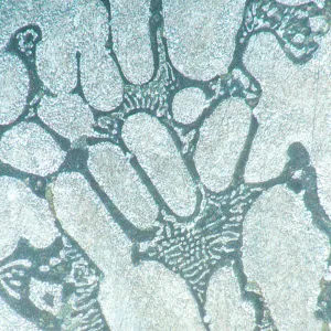 Микроскоп металлографический инвертированный цифровой MAGUS Metal VD700 LCD, изображение 23