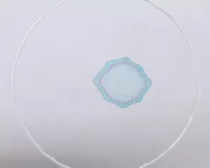 Набор микропрепаратов Konus 10: «Естественные науки», изображение 4