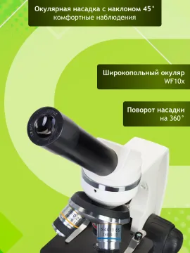 Микроскоп Levenhuk Discovery Femto Polar с книгой, изображение 16